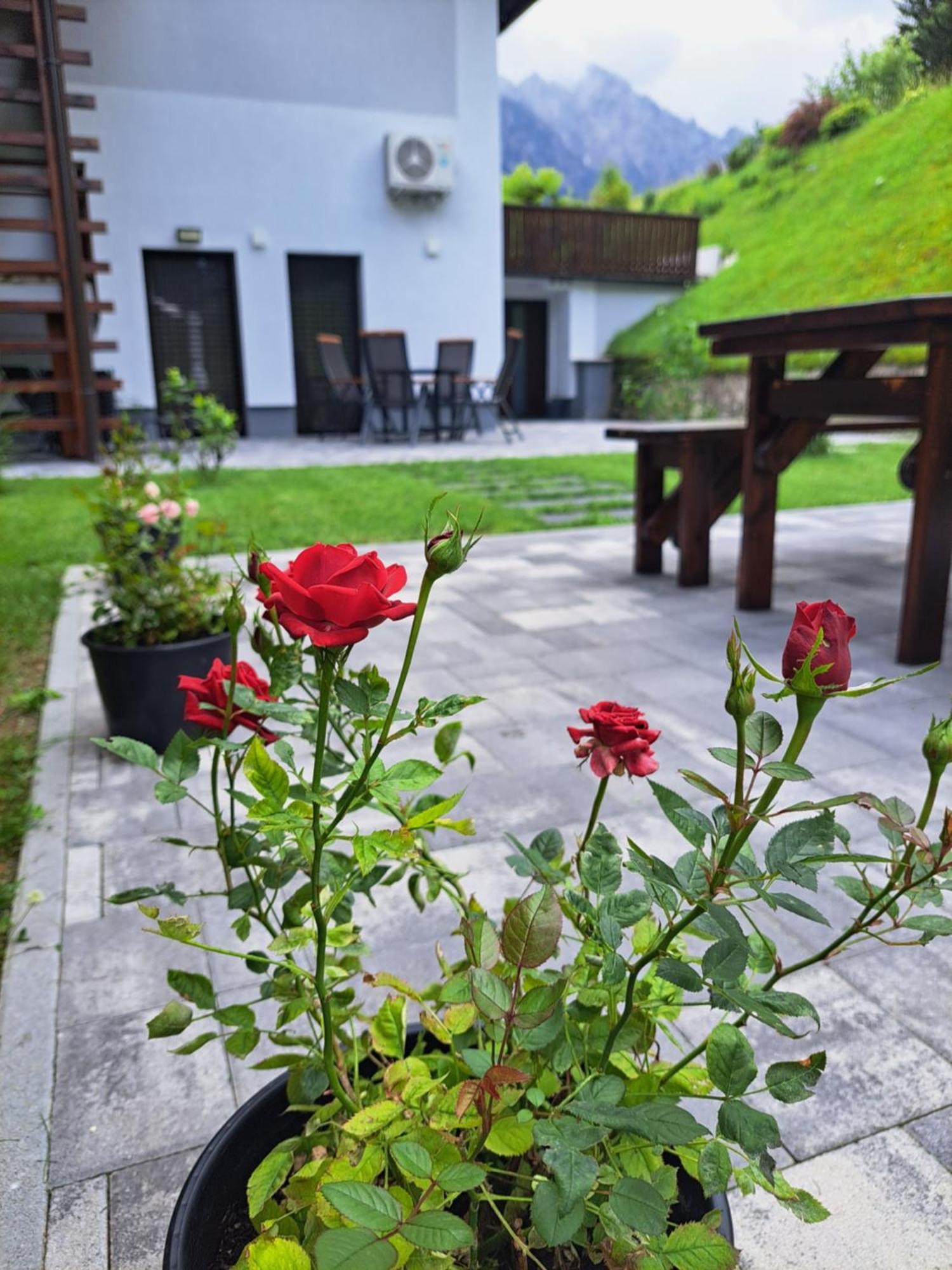 Reset Apartments Kranjska Gora Luaran gambar